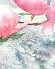 obrazy Akwarela Magnolie oryginalny obraz 300g 23x30 cm 3
