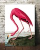 plakaty Flaming vintage 50x70 cm - plakat B2 1