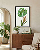grafiki i ilustracje 90. Monstera - rysunek, plakat. 2