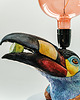 lampy stołowe Bird Andigena laminirostris named Javier 4