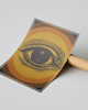 plakaty Plakat PEEPING TOM (ILUSTRACJA) 1