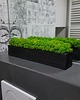 doniczki Doniczka drewniana : chrobotek 40 cm, czarna 4