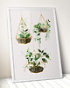 plakaty ilustracja botaniczna | 50x70 cm 1