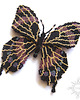 broszki Czarny motyl, broszka, beading 3