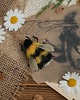 broszki Bumblebee- broszka 1
