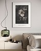 grafiki i ilustracje Hortensja, print { 50x70 cm } 2