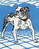 poduszki z grafiką Poduszka dekoracyjna - Bulldog 4