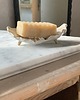 mydelniczki Ceramiczna Mydelniczka Muszla z Odpływem Dalmatyńczyk 3