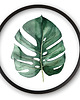 obrazy Szklany obraz - Monstera - Wall Me 8