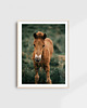 fotografia Fotografia kolekcjonerska "Bliki" 1