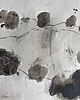 grafiki i ilustracje Abstrakcja nr 04 kolekcja Ogród Eden, oryginał 2