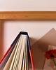 notatniki i albumy Intensywny Pomarańcz - notes A5 gładki 2