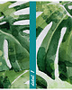obrazy Obraz na płótnie LIŚCIE MONSTERA 80x120cm 3