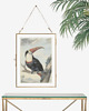 plakaty PLAKAT vintage ilustracja grafika flaming 1