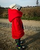bluzy dla dziewczynki Bluza dla dziewczynki z sercem 1