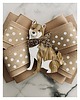 broszki Kolekcja Pop Art Dog  Shiba Inu  1 szt 2