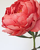 dodatki - różne Piwonia z papieru - inspirowana piwonia coral charm 7