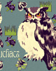 grafiki i ilustracje Plakat z ptakiem Sowa Puchacz ilustracja grafika 1