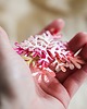 broszki Broszka kształty  magenta 2