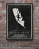 plakaty Plakat Czarny Łabędź 2