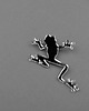 broszki MirrorFrog 1 4