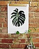 plakaty Plakat - Monstera A4 1