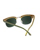 okulary damskie Zielone okulary Coyote Calls Brooklines 3