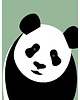 obrazy i plakaty do pokoju dziecięcego Plakat Panda zielona 1
