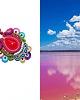 kolczyki soutache Sutaszowe kolczyki WESTGATE _ EXPRESS 1