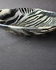 miski i misy MISA SFERA ZEBRA  44 CM 1
