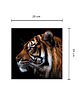 plakaty Tygrys plakat 1