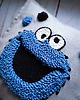 poduszki plecione Poduszka dekoracyjna cookie monster 1