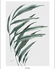 grafiki i ilustracje Wind 70x100 cm 1