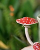 kubki Kubek z Muchomorem Duży 2