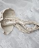 figurki i rzeźby Ręcznie wykonana ceramiczna rzeźba Meduza 2