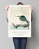 plakaty Ohara Koson - Art Poster 1