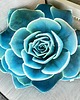 poduszki z grafiką Poduszka Duży  Sukulent Echeveria Turkusowy 2