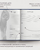 kalendarze i plannery Planer Anatomiczny 2026 5