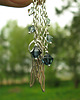 kolczyki swarovski Kolczyki - Błękitne Anielskie skrzydła- Kryształy Swarovski 3