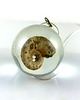 wisiory Tear Drops Amonit - wisior 2