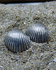 kolczyki wire wrapping Scallop Earrings 1
