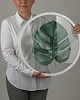 obrazy Szklany obraz - Monstera - Wall Me 10