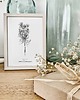 grafiki i ilustracje Dzika marchew - grafika botaniczna w oprawie 3