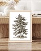 plakaty PLAKAT dawne malarstwo drzewo choinka 3