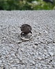 pierścionki - różne W czerwieni - pierścionek regulowany 3