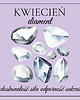 bransoletki z kamieni naturalnych Bransoletka KWIECIEŃ diament herkimer, stokrotka 3
