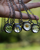chokery Choker mini terrarium z roślinką 1