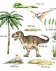 naklejki ścienne do pokoju dziecka Dinozaury naklejki ścienne - Tyranozaur i Pteranodon A210 1