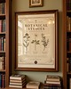 grafiki i ilustracje Vintage grafika botaniczna zioła 2
