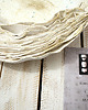 miski i misy Organic Form  -Shell -  misa -  ceramika art 5
